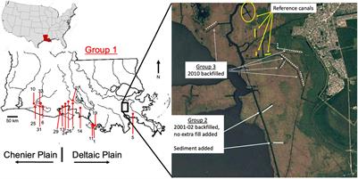 Wetland Restoration Progress 39 Years After Canal Backfilling